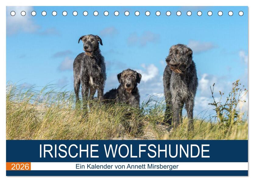 Irische Wolfshunde (Tischkalender 2026 DIN A5 quer) CALVENDO Monatskalender
