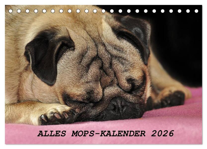 Alles Mops-Kalender 2026 (Tischkalender 2026 DIN A5 quer) CALVENDO Monatskalender