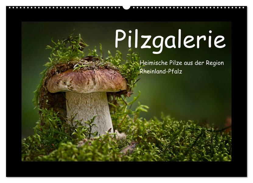 Pilzgalerie - Heimische Pilze aus der Region Rheinland-Pfalz (Wandkalender 2026 DIN A2 quer) CALVENDO Monatskalender