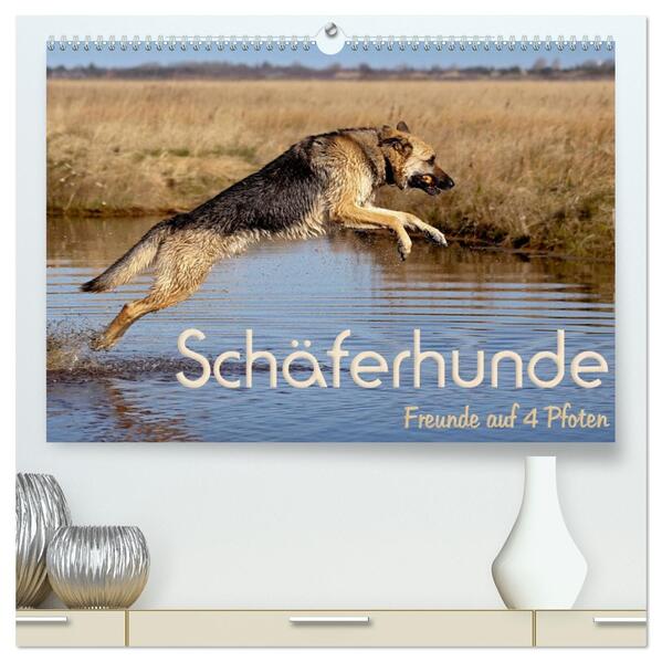 Schäferhunde - Freunde auf 4 Pfoten (hochwertiger Premium Wandkalender 2026 DIN A2 quer) Kunstdruck in Hochglanz