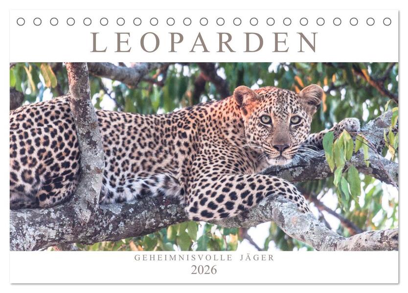 Leoparden - Geheimnisvolle Jäger (Tischkalender 2026 DIN A5 quer) CALVENDO Monatskalender
