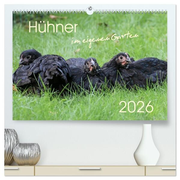 Hühner im eigenen Garten (hochwertiger Premium Wandkalender 2026 DIN A2 quer) Kunstdruck in Hochglanz