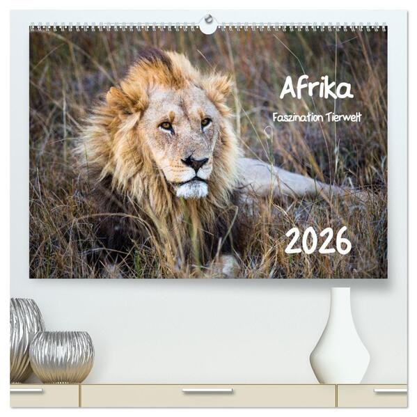 Afrika - Faszination Tierwelt (hochwertiger Premium Wandkalender 2026 DIN A2 quer) Kunstdruck in Hochglanz