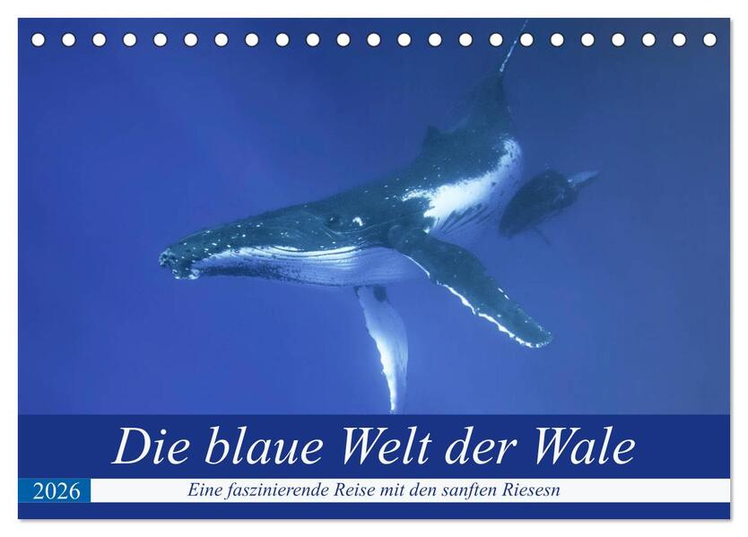 Die blaue Welt der Wale (Tischkalender 2026 DIN A5 quer) CALVENDO Monatskalender