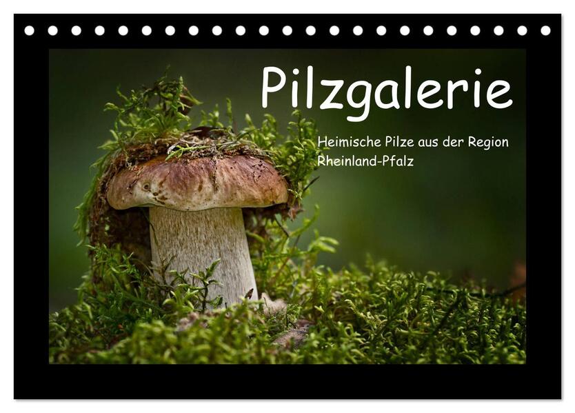 Pilzgalerie - Heimische Pilze aus der Region Rheinland-Pfalz (Tischkalender 2026 DIN A5 quer) CALVENDO Monatskalender
