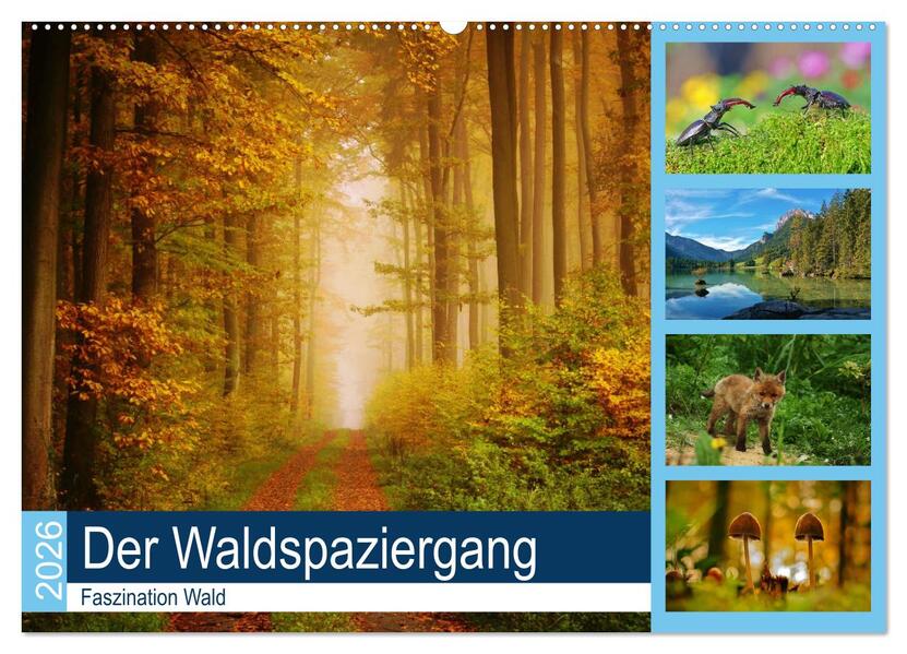 Der Waldspaziergang (Wandkalender 2026 DIN A2 quer) CALVENDO Monatskalender