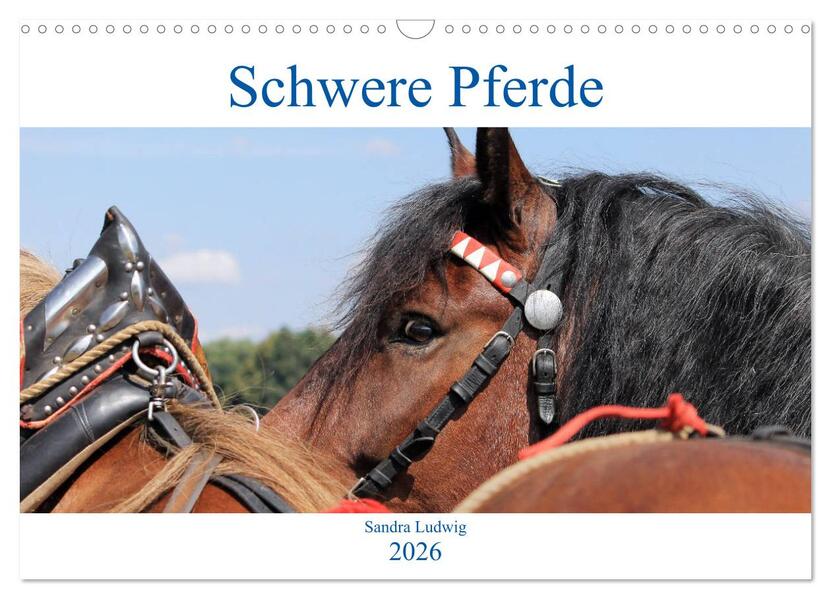 Schwere Pferde 2026 (Wandkalender 2026 DIN A3 quer) CALVENDO Monatskalender