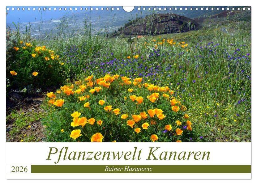 Pflanzenwelt Kanaren (Wandkalender 2026 DIN A3 quer) CALVENDO Monatskalender