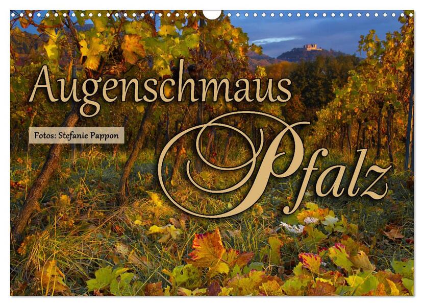 Augenschmaus Pfalz (Wandkalender 2026 DIN A3 quer) CALVENDO Monatskalender