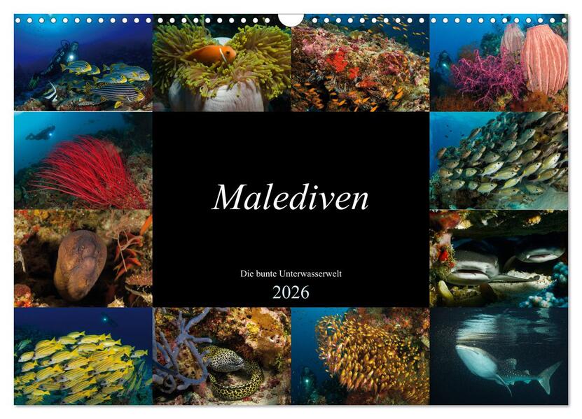 Malediven - Die bunte Unterwasserwelt (Wandkalender 2026 DIN A3 quer) CALVENDO Monatskalender