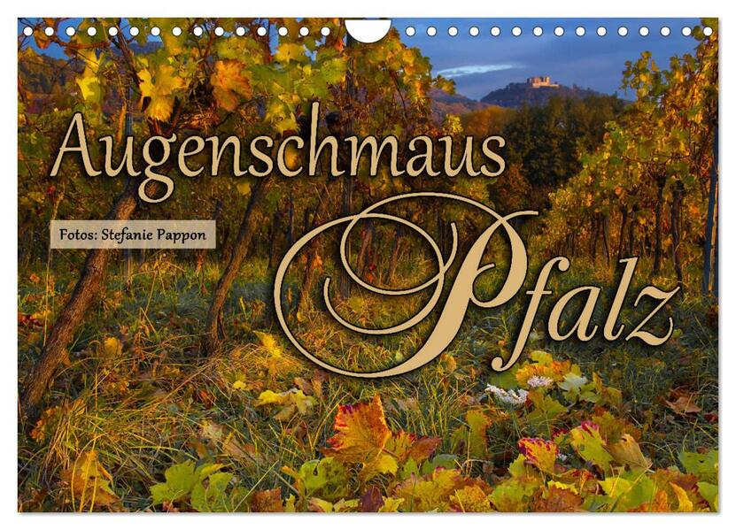 Augenschmaus Pfalz (Wandkalender 2026 DIN A4 quer) CALVENDO Monatskalender