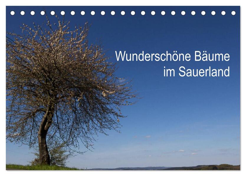 Wunderschöne Bäume im Sauerland (Tischkalender 2026 DIN A5 quer) CALVENDO Monatskalender