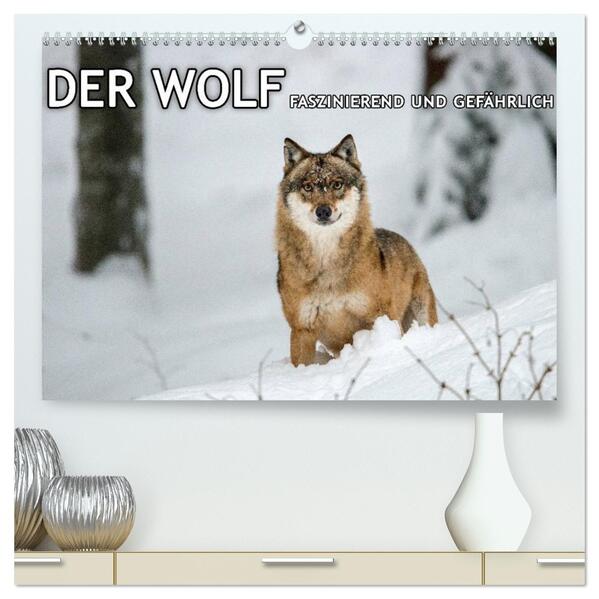 DER WOLF - faszinierend und gefährlich (hochwertiger Premium Wandkalender 2026 DIN A2 quer) Kunstdruck in Hochglanz