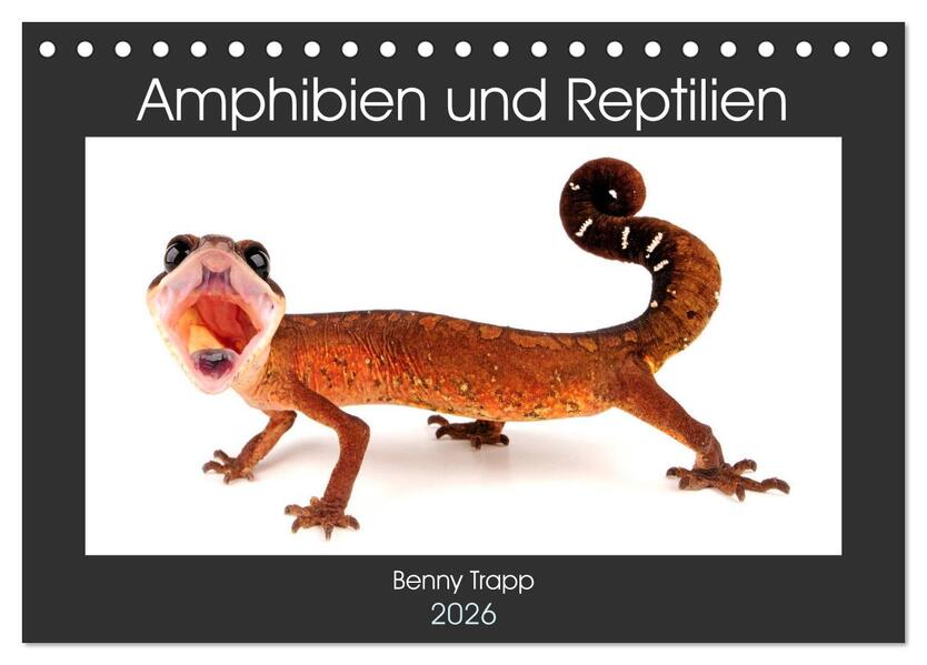 Amphibien und Reptilien (Tischkalender 2026 DIN A5 quer) CALVENDO Monatskalender