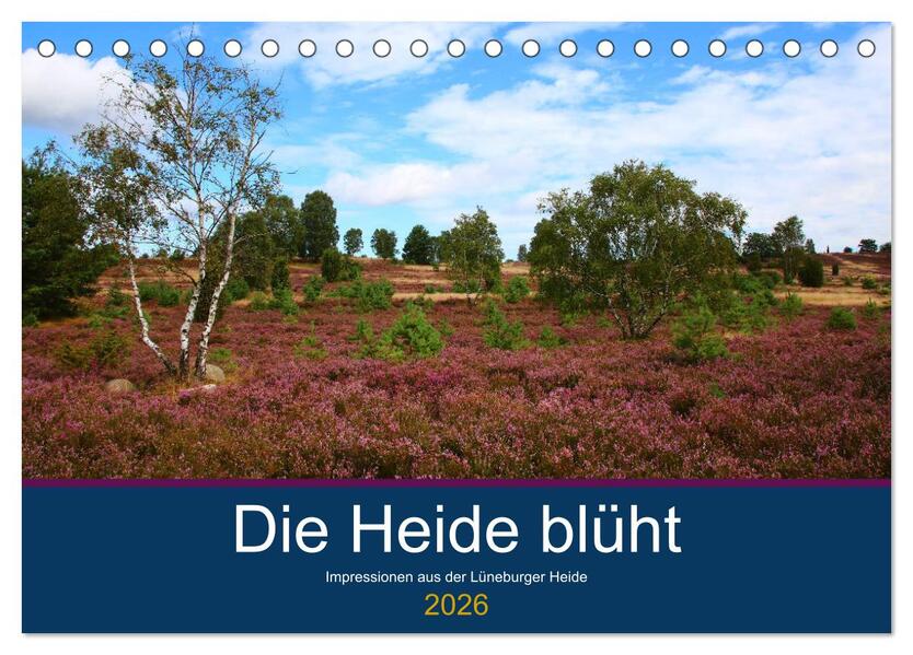 Die Heide blüht (Tischkalender 2026 DIN A5 quer) CALVENDO Monatskalender