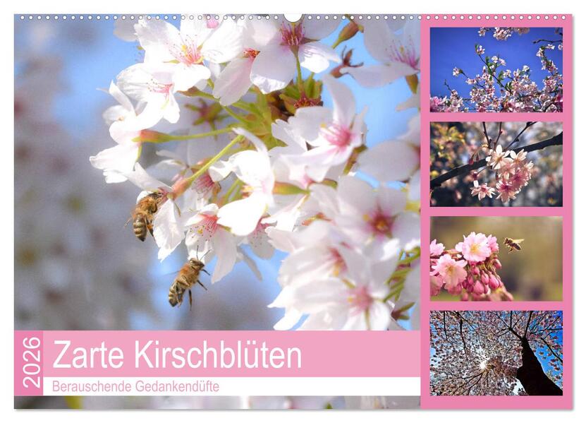 Zarte Kirschblüten - Berauschende Gedankendüfte (Wandkalender 2026 DIN A2 quer) CALVENDO Monatskalender