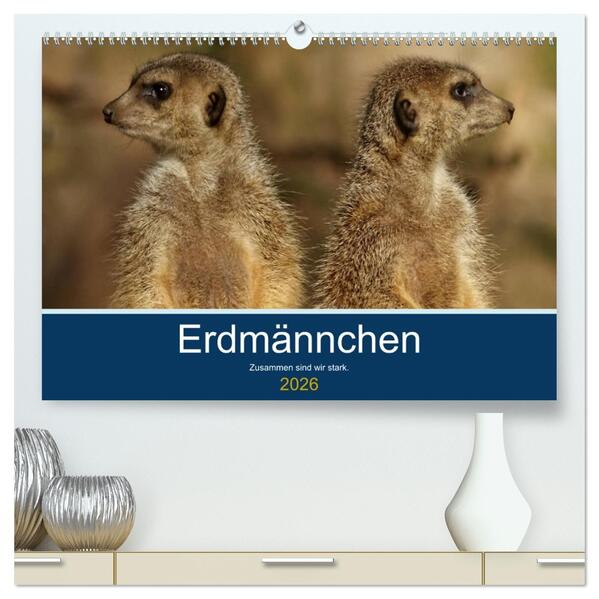 Erdmännchen - Zusammen sind wir stark (hochwertiger Premium Wandkalender 2026 DIN A2 quer) Kunstdruck in Hochglanz