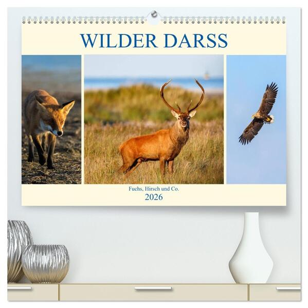 Wilder Darß - Fuchs Hirsch und Co. 2026 (hochwertiger Premium Wandkalender 2026 DIN A2 quer) Kunstdruck in Hochglanz