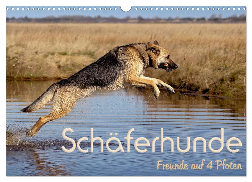 Schäferhunde - Freunde auf 4 Pfoten (Wandkalender 2026 DIN A3 quer) CALVENDO Monatskalender