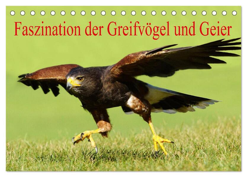 Faszination der Greifvögel und Geier (Tischkalender 2026 DIN A5 quer) CALVENDO Monatskalender
