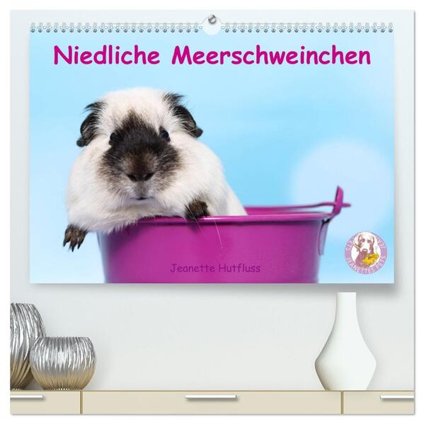 Niedliche Meerschweinchen (hochwertiger Premium Wandkalender 2026 DIN A2 quer) Kunstdruck in Hochglanz