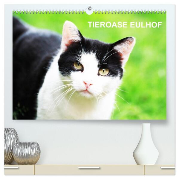 Eulhof (hochwertiger Premium Wandkalender 2026 DIN A2 quer) Kunstdruck in Hochglanz