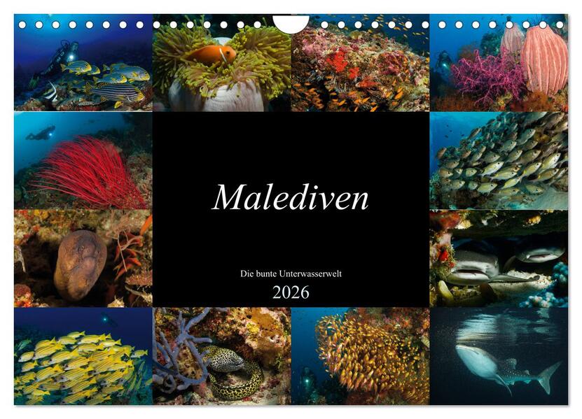 Malediven - Die bunte Unterwasserwelt (Wandkalender 2026 DIN A4 quer) CALVENDO Monatskalender