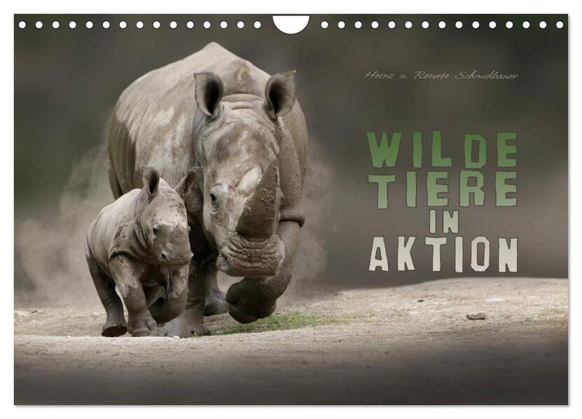 WILDE TIERE IN AKTION (Wandkalender 2026 DIN A4 quer) CALVENDO Monatskalender