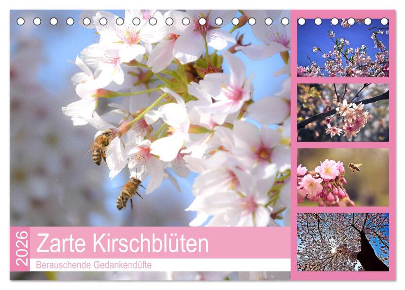 Zarte Kirschblüten - Berauschende Gedankendüfte (Tischkalender 2026 DIN A5 quer) CALVENDO Monatskalender