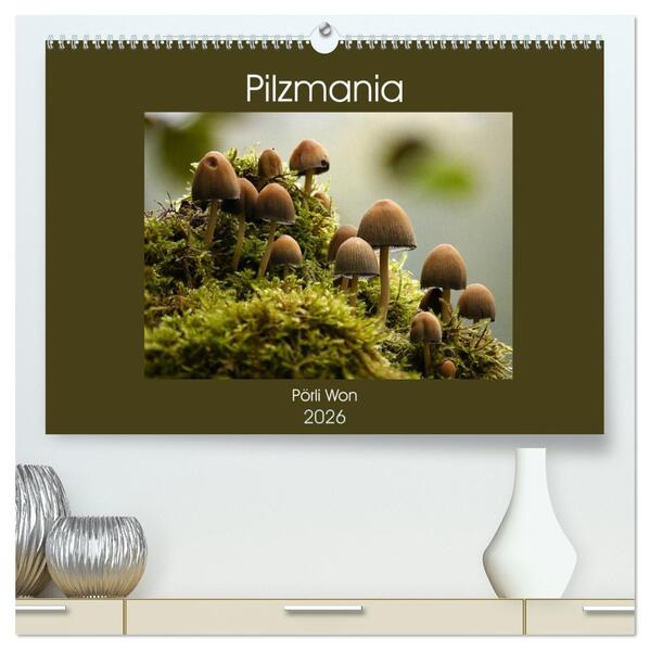 Pilzmania (hochwertiger Premium Wandkalender 2026 DIN A2 quer) Kunstdruck in Hochglanz