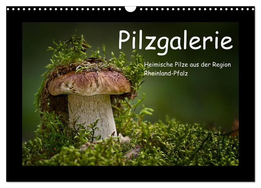 Pilzgalerie - Heimische Pilze aus der Region Rheinland-Pfalz (Wandkalender 2026 DIN A3 quer) CALVENDO Monatskalender