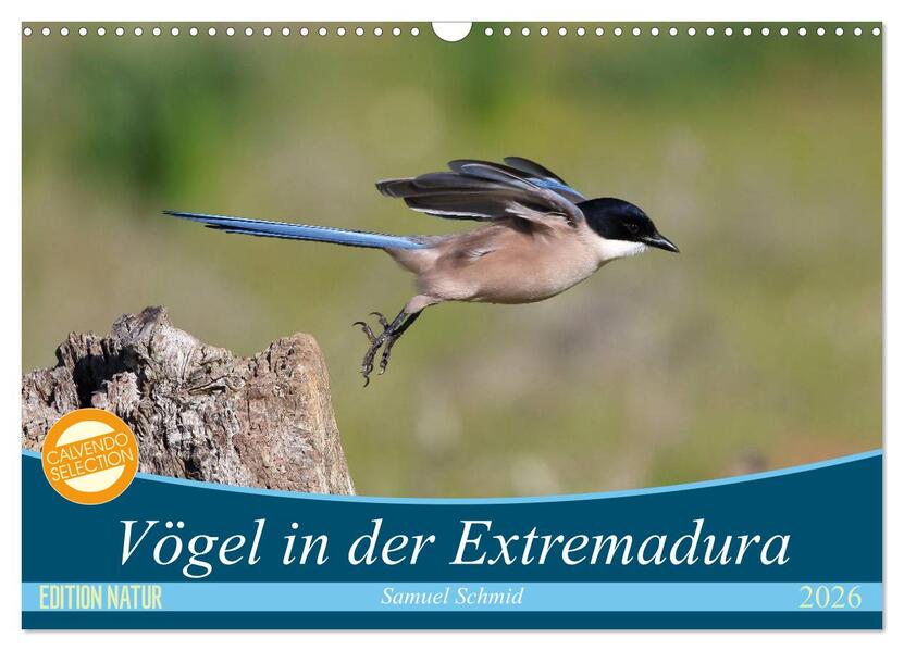 Vögel in der Extremadura (Wandkalender 2026 DIN A3 quer) CALVENDO Monatskalender