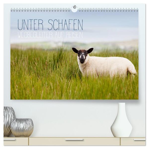 Unter Schafen - Wegbegleiter auf Reisen (hochwertiger Premium Wandkalender 2026 DIN A2 quer) Kunstdruck in Hochglanz