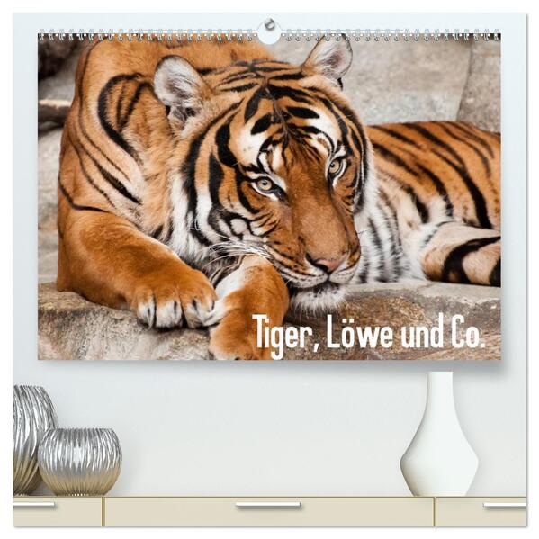 Tiger Löwe und Co. (hochwertiger Premium Wandkalender 2026 DIN A2 quer) Kunstdruck in Hochglanz