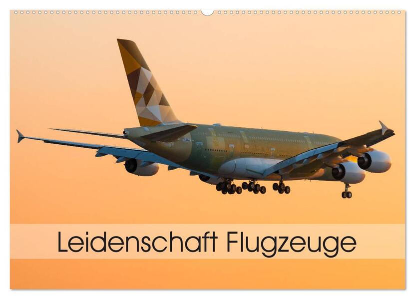Leidenschaft Flugzeuge (Wandkalender 2026 DIN A2 quer) CALVENDO Monatskalender