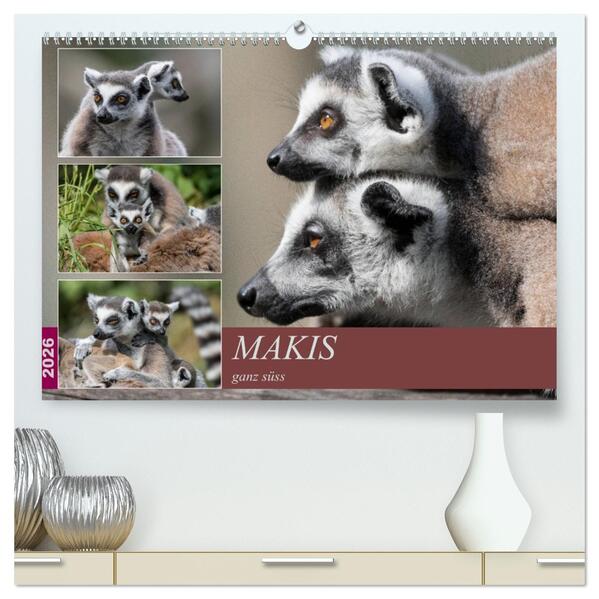 Makis ganz süss (hochwertiger Premium Wandkalender 2026 DIN A2 quer) Kunstdruck in Hochglanz
