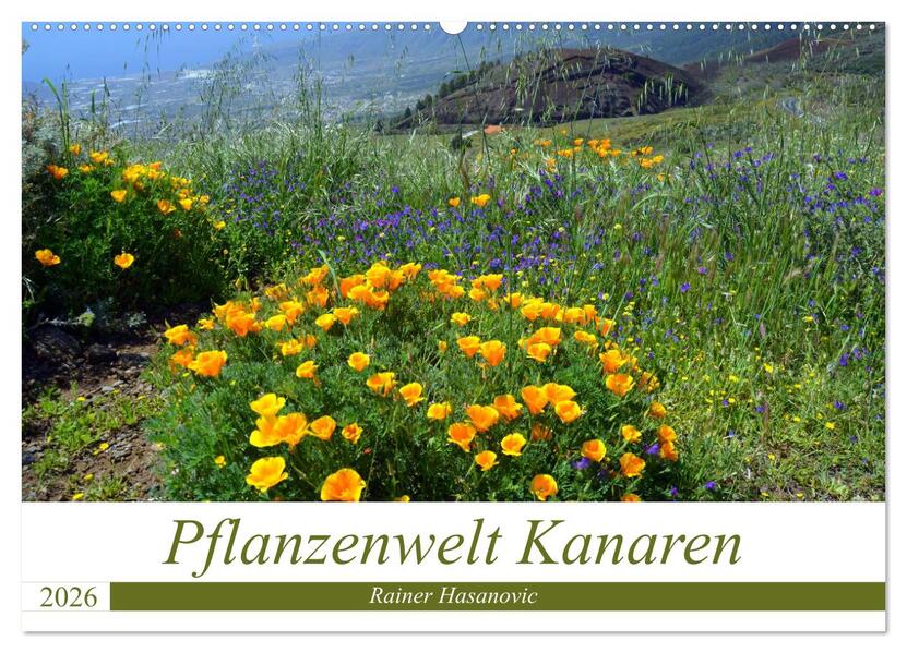 Pflanzenwelt Kanaren (Wandkalender 2026 DIN A2 quer) CALVENDO Monatskalender