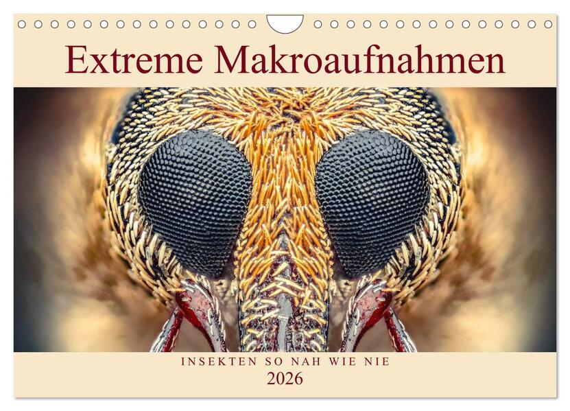 Extreme Makroaufnahmen - Insekten so nah wie nie (Wandkalender 2026 DIN A4 quer) CALVENDO Monatskalender