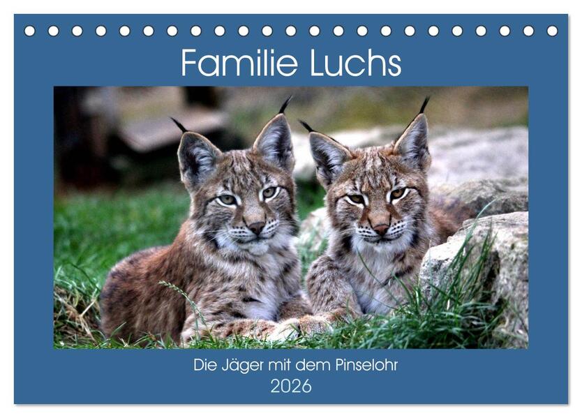 Familie Luchs - Die Jäger mit dem Pinselohr (Tischkalender 2026 DIN A5 quer) CALVENDO Monatskalender