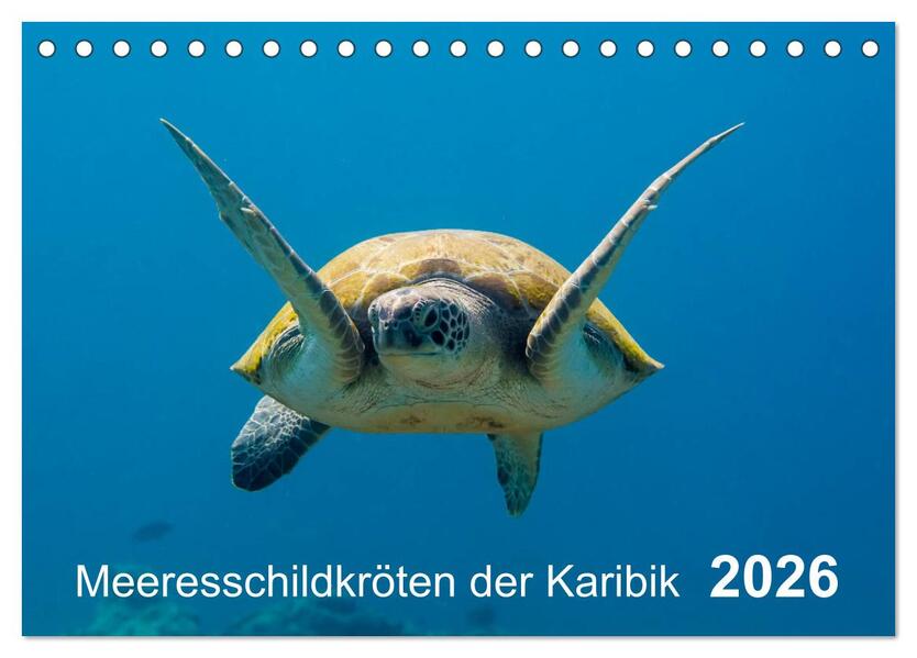 Meeresschildkröten der Karibik (Tischkalender 2026 DIN A5 quer) CALVENDO Monatskalender