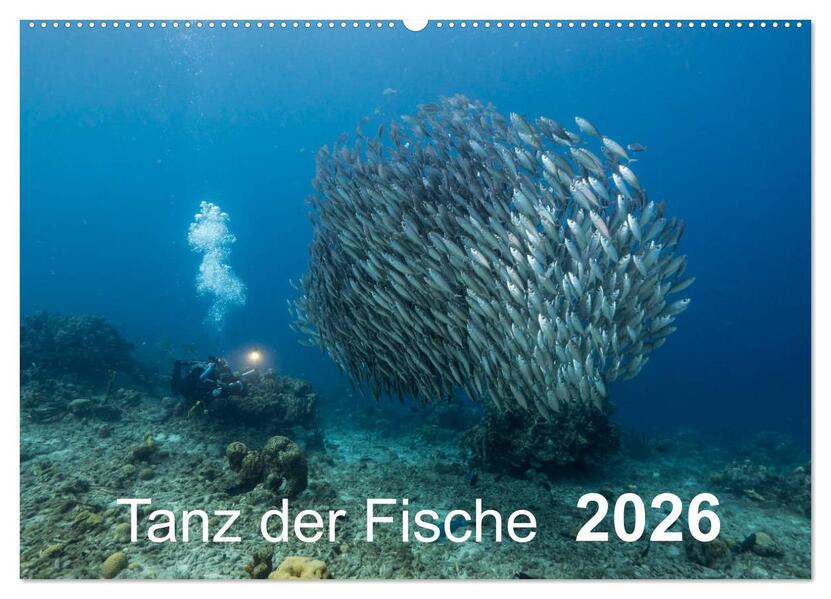 Tanz der Fische (Wandkalender 2026 DIN A2 quer) CALVENDO Monatskalender