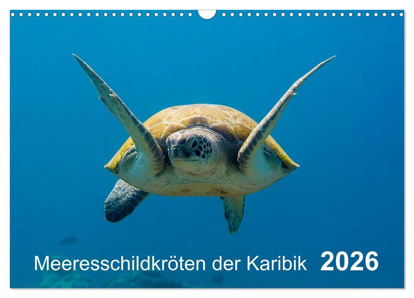 Meeresschildkröten der Karibik (Wandkalender 2026 DIN A3 quer) CALVENDO Monatskalender