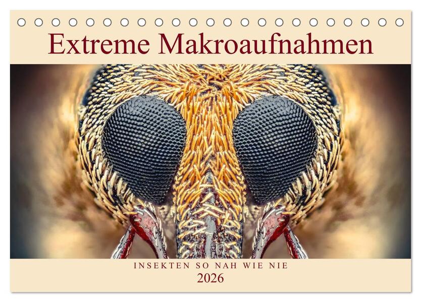 Extreme Makroaufnahmen - Insekten so nah wie nie (Tischkalender 2026 DIN A5 quer) CALVENDO Monatskalender