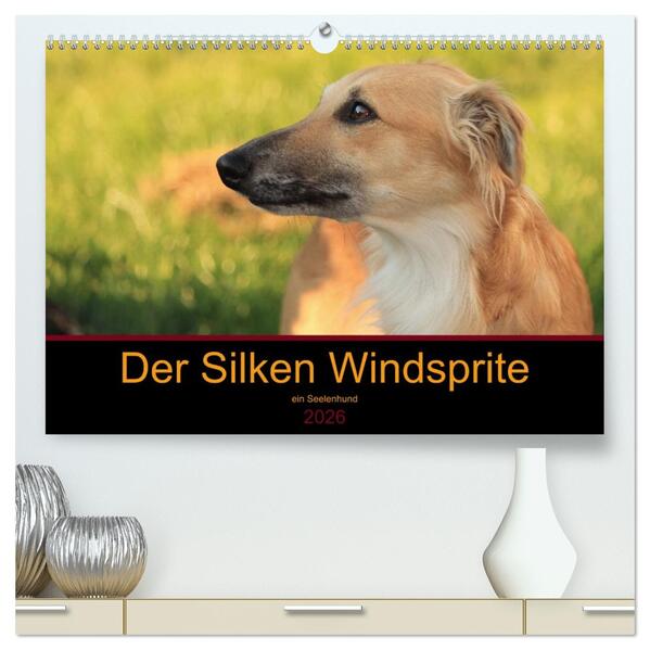 Der Silken Windsprite - ein Seelenhund (hochwertiger Premium Wandkalender 2026 DIN A2 quer) Kunstdruck in Hochglanz