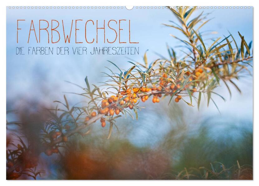 Farbwechsel - Die Farben der vier Jahreszeiten (Wandkalender 2026 DIN A2 quer) CALVENDO Monatskalender