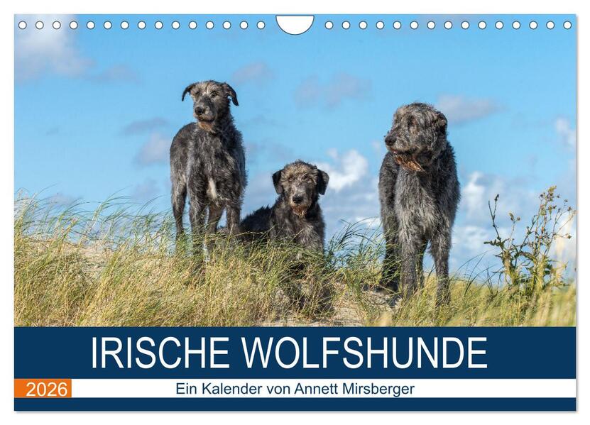 Irische Wolfshunde (Wandkalender 2026 DIN A4 quer) CALVENDO Monatskalender