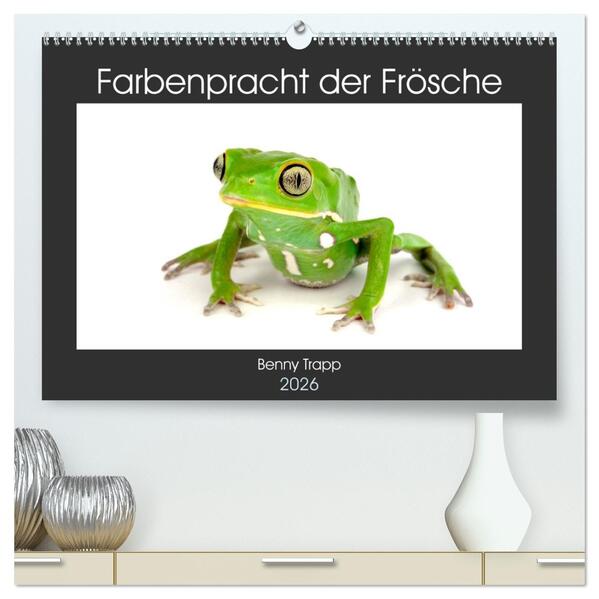 Farbenpracht der Frösche (hochwertiger Premium Wandkalender 2026 DIN A2 quer) Kunstdruck in Hochglanz
