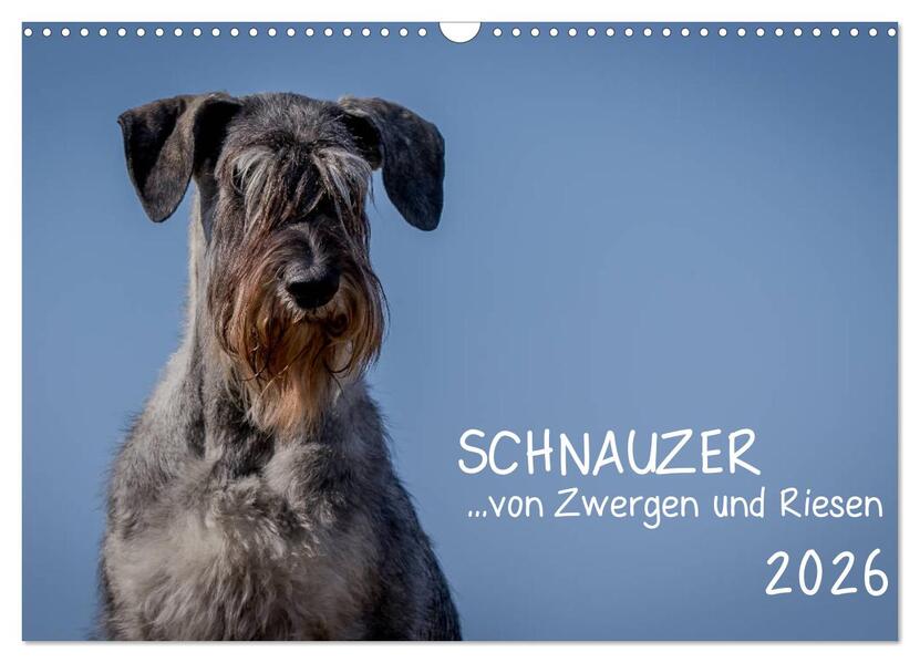 Schnauzer... von Zwergen und Riesen 2026 (Wandkalender 2026 DIN A3 quer) CALVENDO Monatskalender