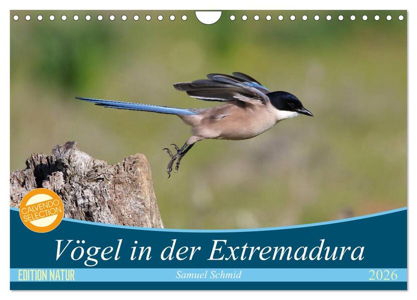 Vögel in der Extremadura (Wandkalender 2026 DIN A4 quer) CALVENDO Monatskalender