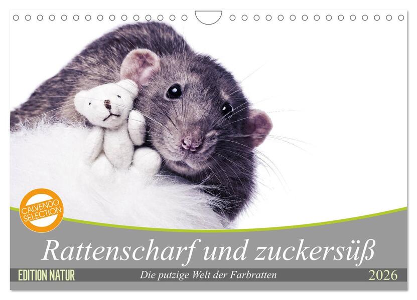 Rattenscharf und zuckersüß (Wandkalender 2026 DIN A4 quer) CALVENDO Monatskalender